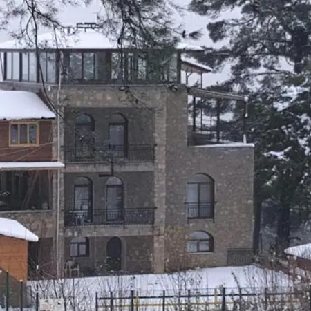Goekce Mountain 2 Villa *