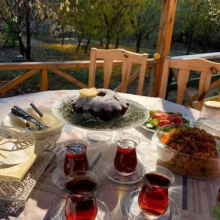 Villa Goekce Mountain 2 *
